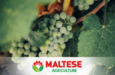 maltese forniture agricole