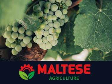 maltese forniture agricole